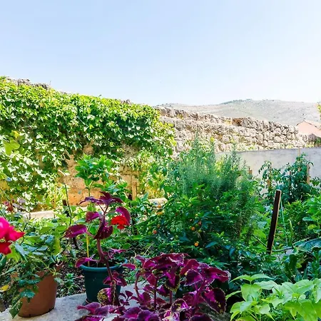 Lapad Gardin * Ragusa