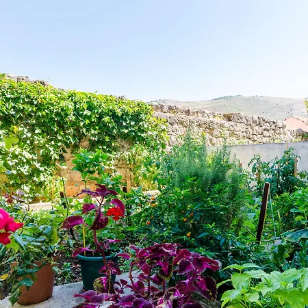 Apartamento Lapad Gardin *